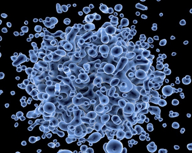 Adenovirus (ADV) Vectors