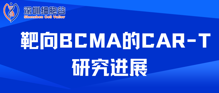 靶向BCMA的CAR-T研究进展