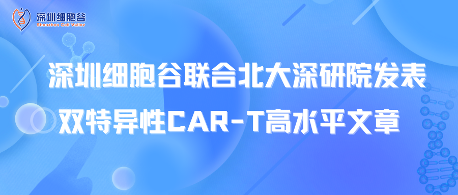 喜讯丨深圳细胞谷联合北大深研院发表双特异性CAR-T高水平文章