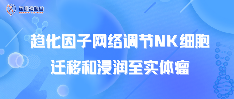 趋化因子网络调节NK细胞迁移和浸润至实体瘤