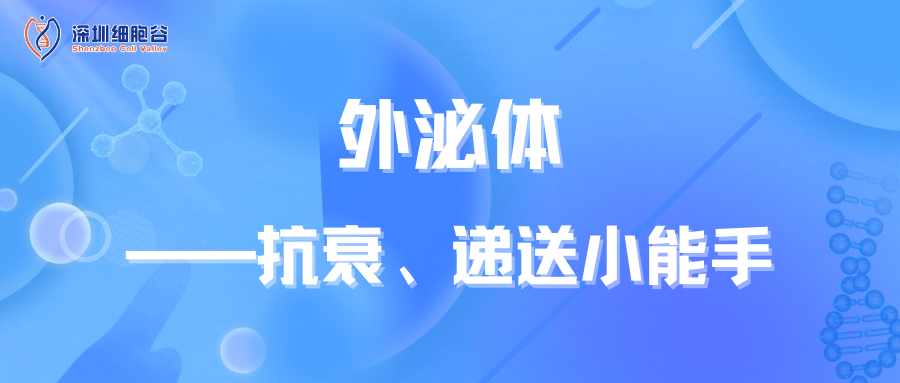 外泌体——抗衰、递送小能手