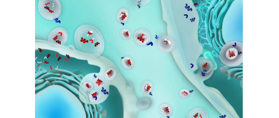 哪吒闹海！外泌体面纱大揭秘，我命由我不由天！