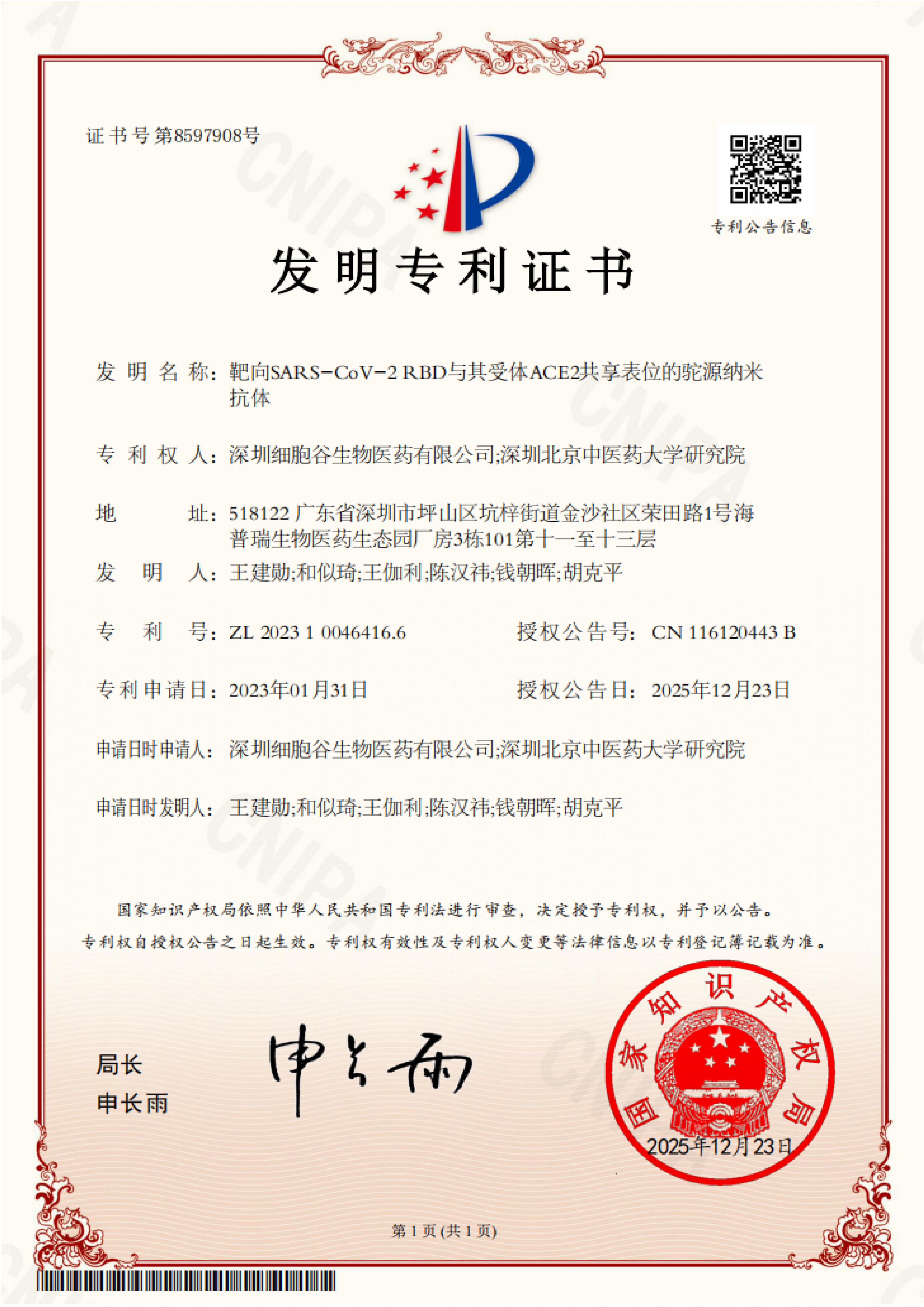 靶向SARS-CoV-2RBD与其受体ACE2共享表位的驼源纳米抗体