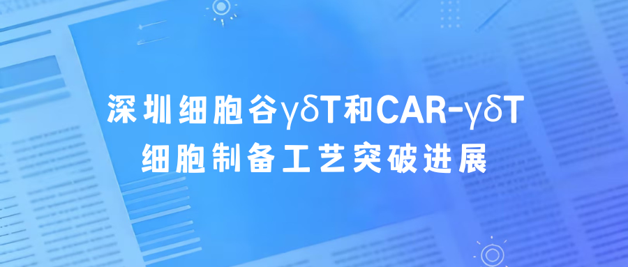 科研赋能|深圳细胞谷γδT和CAR-γδT细胞制备工艺突破进展