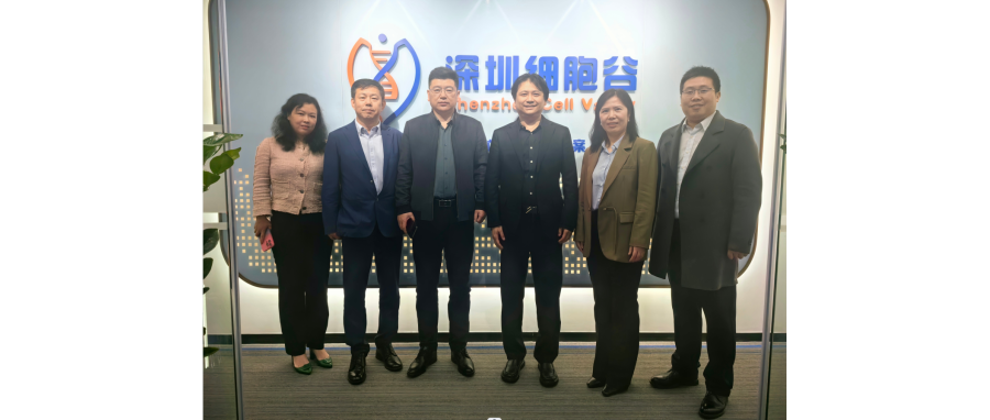交流合作｜河南科技大学第二附属医院院长邢建武、副院长王慧睿一行莅临深圳细胞谷交流访问