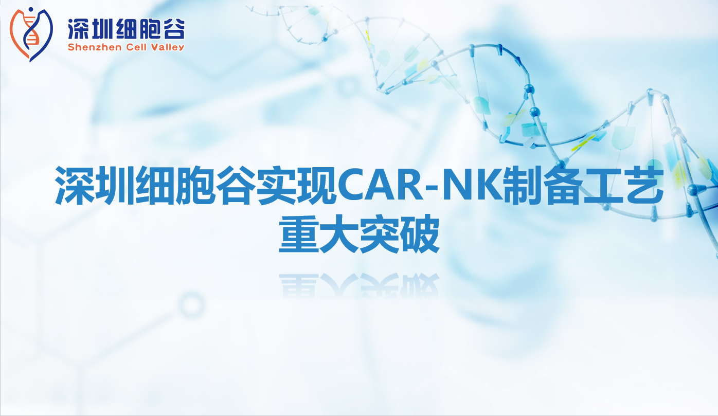 研究进展|深圳细胞谷实现CAR-NK制备工艺重大突破