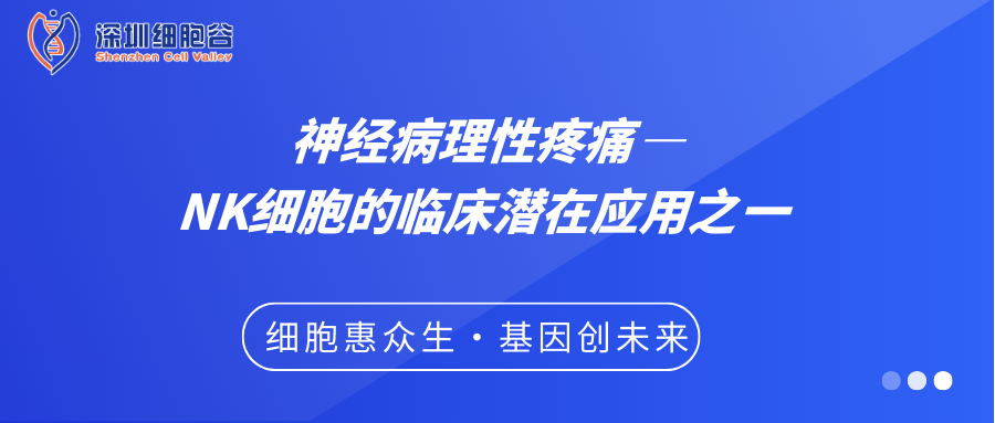 科研赋能|神经病理性疼痛——NK细胞的临床潜在应用之一