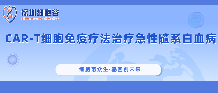 科研赋能|CAR-T细胞免疫疗法治疗急性髓系白血病