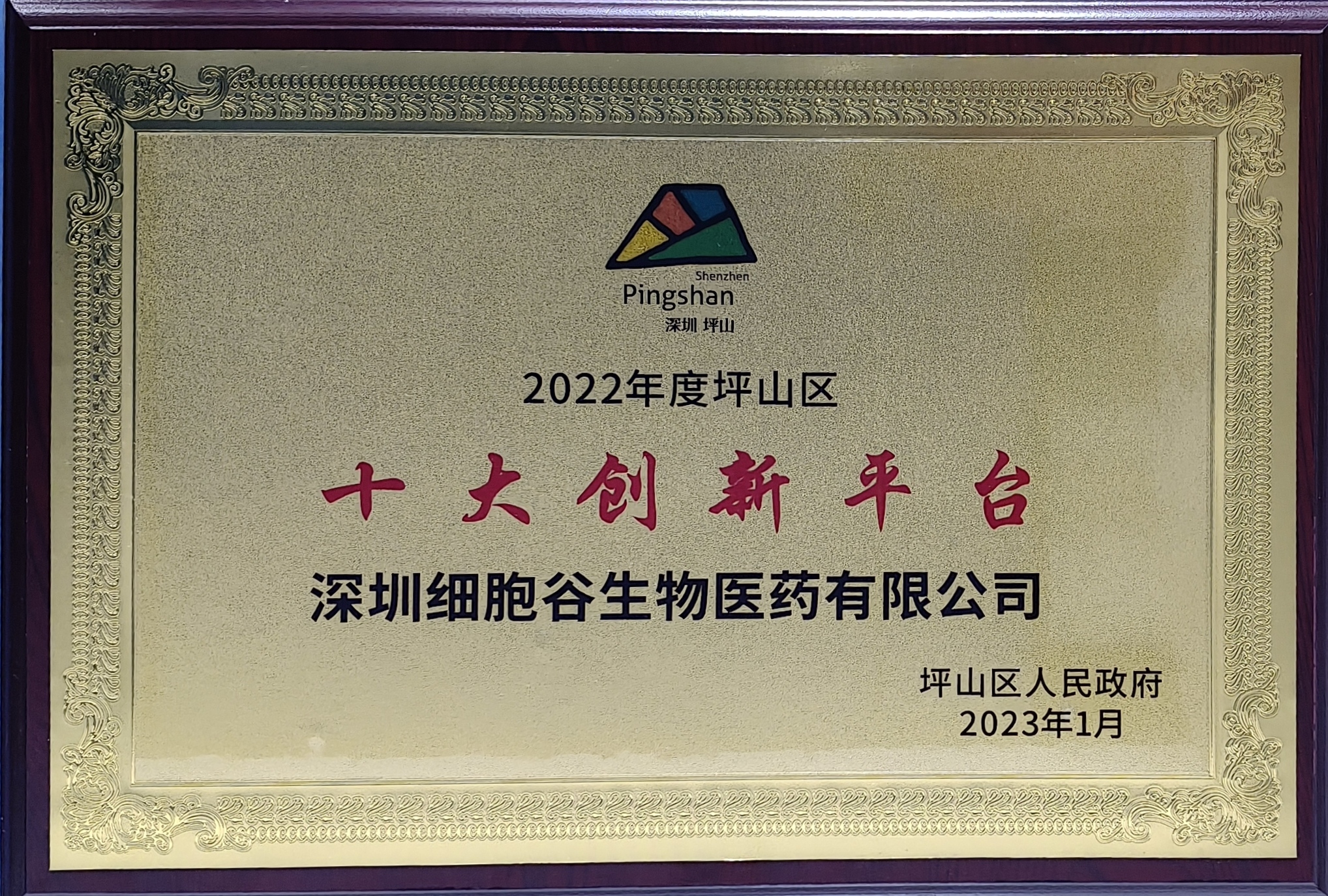 十大创新平台