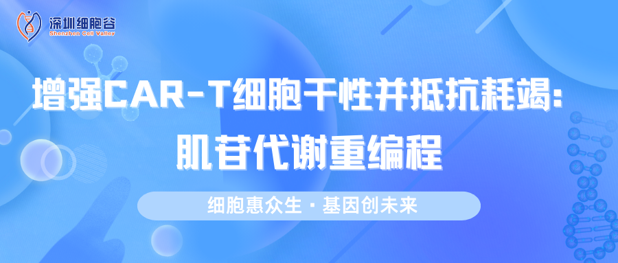 文献分享|增强CAR-T细胞干性并抵抗耗竭：肌苷代谢重编程