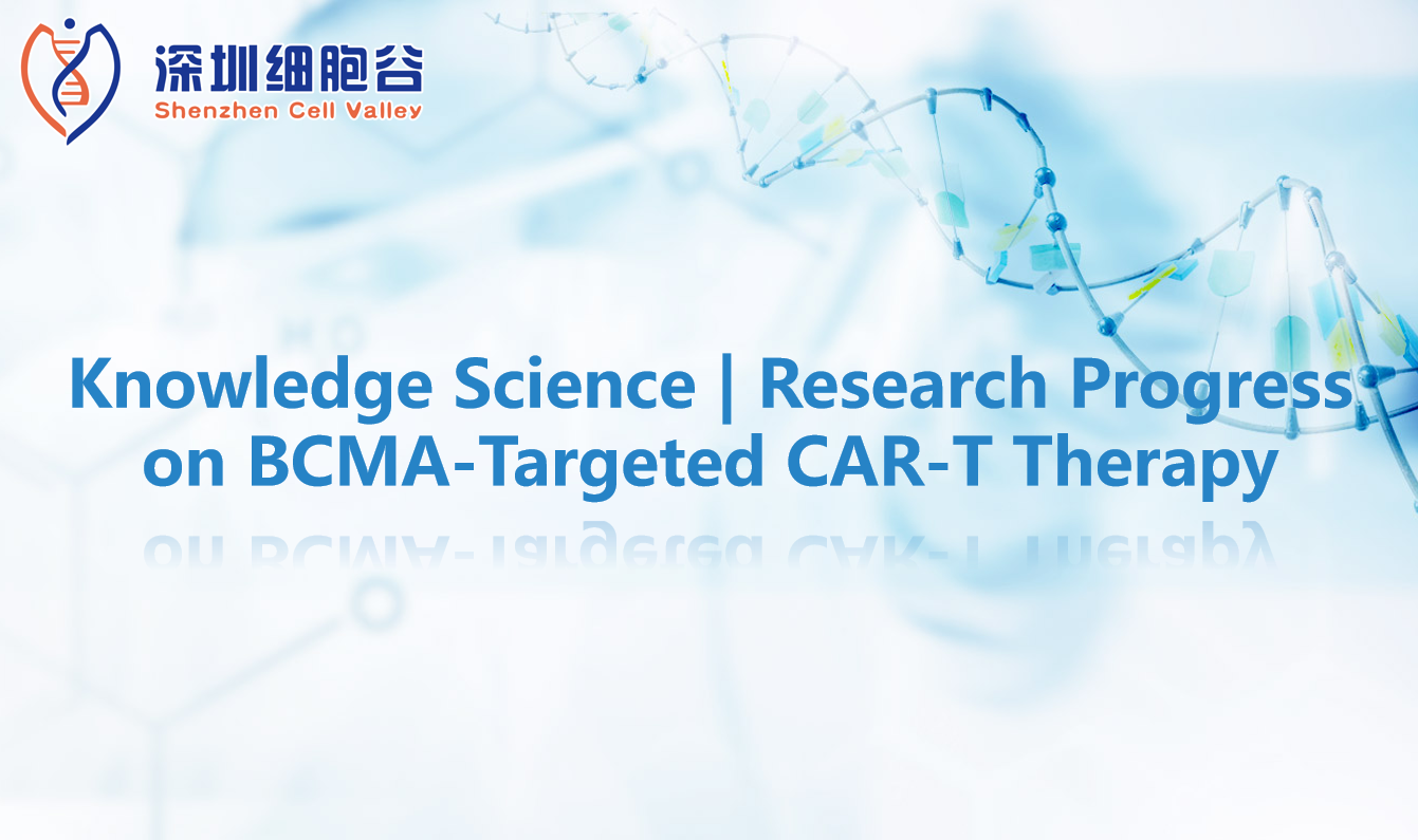Knowledge Science | Research Progress on BCMA-Targeted CAR-Therapy