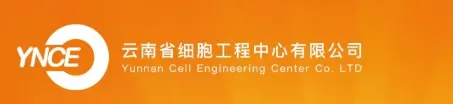 1788247479.png 图片.png