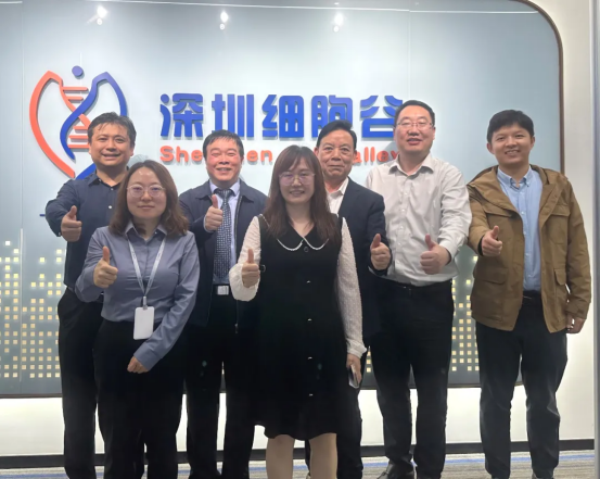 Win-Win Cooperation! Joining Forces to Develop China's First Retroviral Vector-Based TCR-T Cell Product: Executives from Shenzhen Innova Immune Visit Shenzhen Cell Valley for Exchange